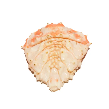 MAAH King Crab Tails