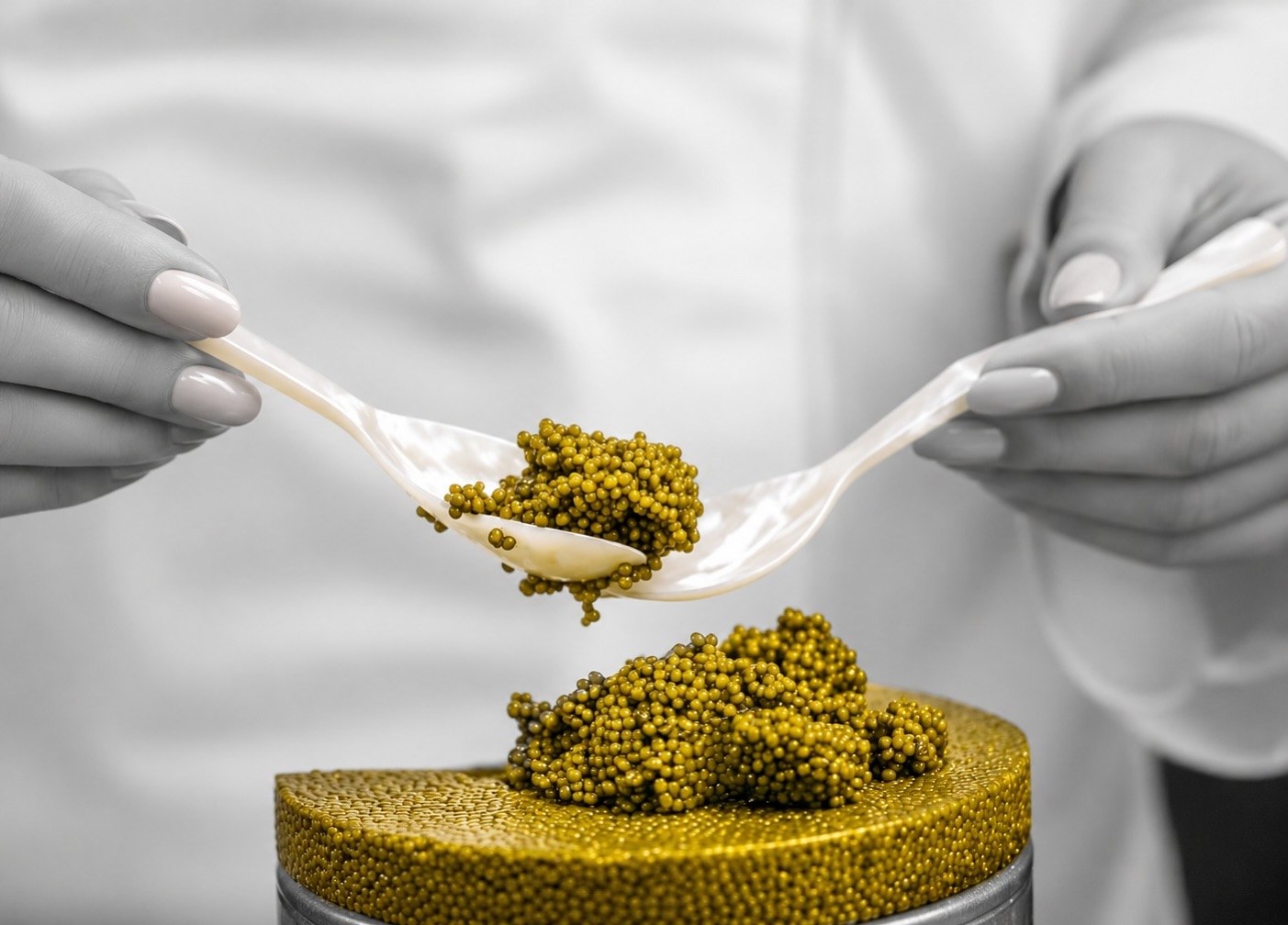 Caviar being served as part of a refined presentation